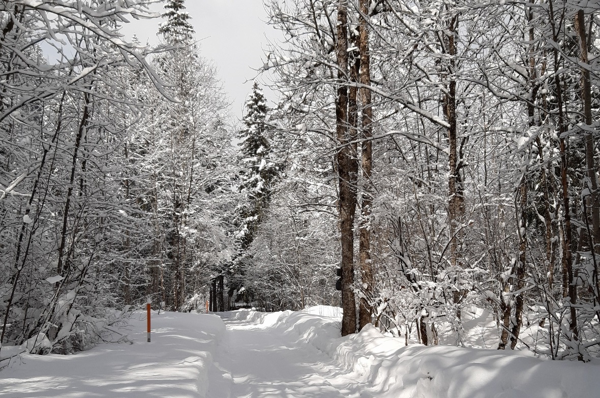 Der Talweg zwischen Matten und Lenk präsentierte sich nochmals tief verschneit.