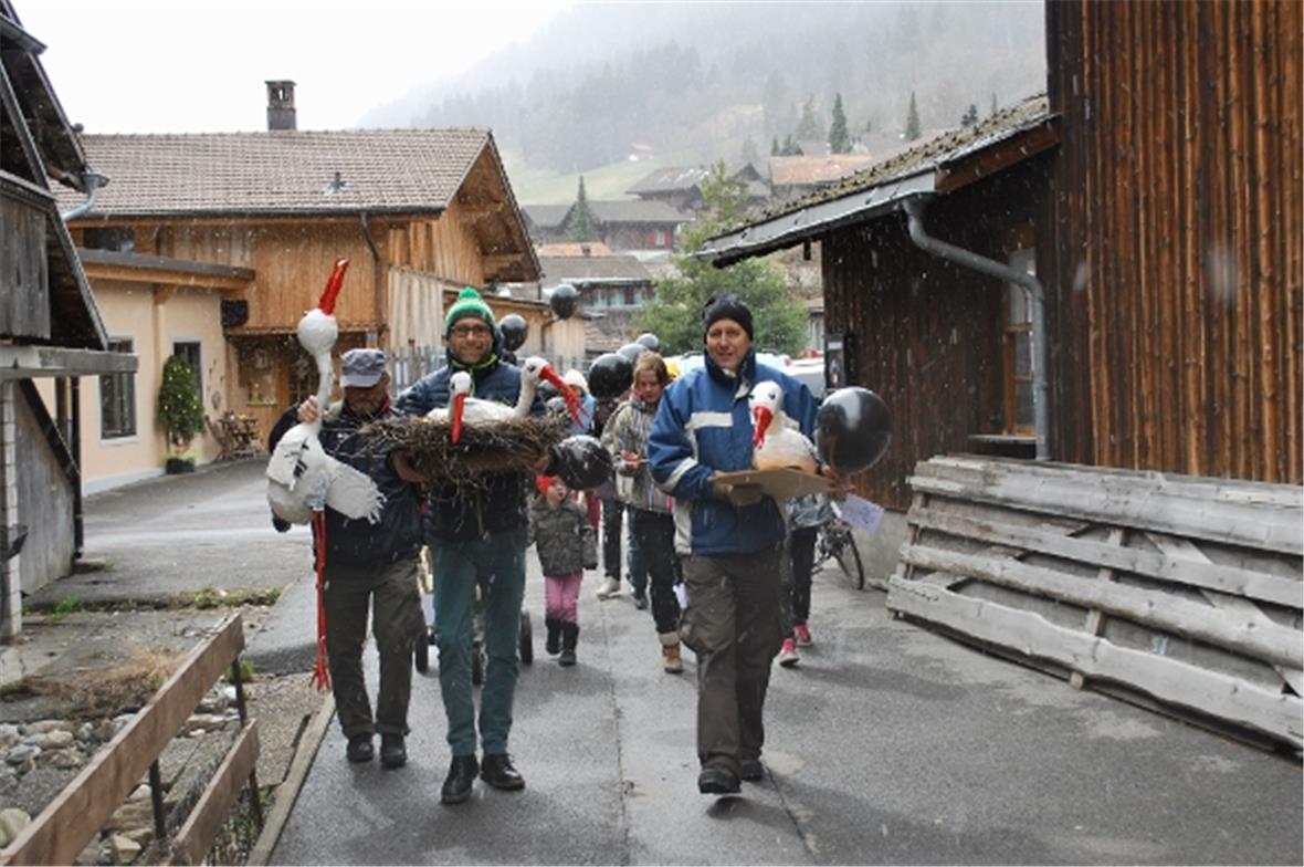 Der Trauerumzug zum Storchen-Zwischenlandeplatz angeführt von zwei treuen Saaner...