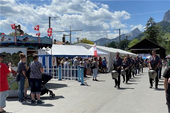 Der Trichlerklub startet zum Umzug.