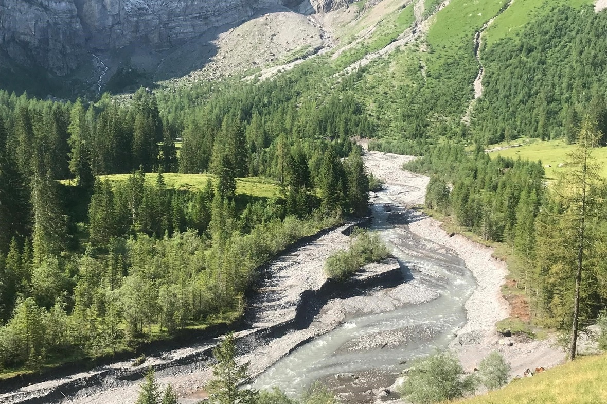 Der Trüebbach am Rezlisberg am 26. Juli 2019.