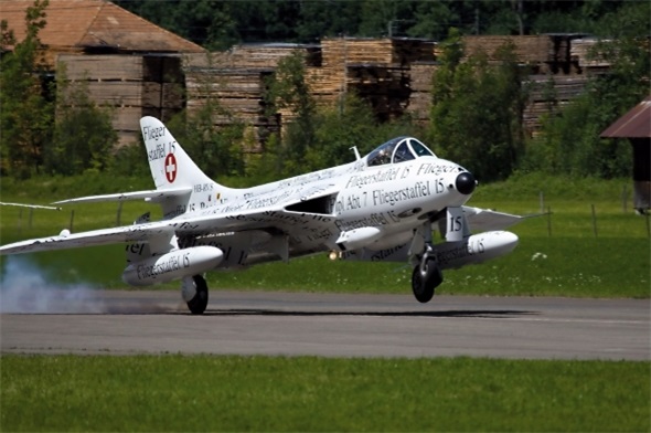 Der Weisse «Papyrus»-Hunter des Huntervereisn Obersimmental.