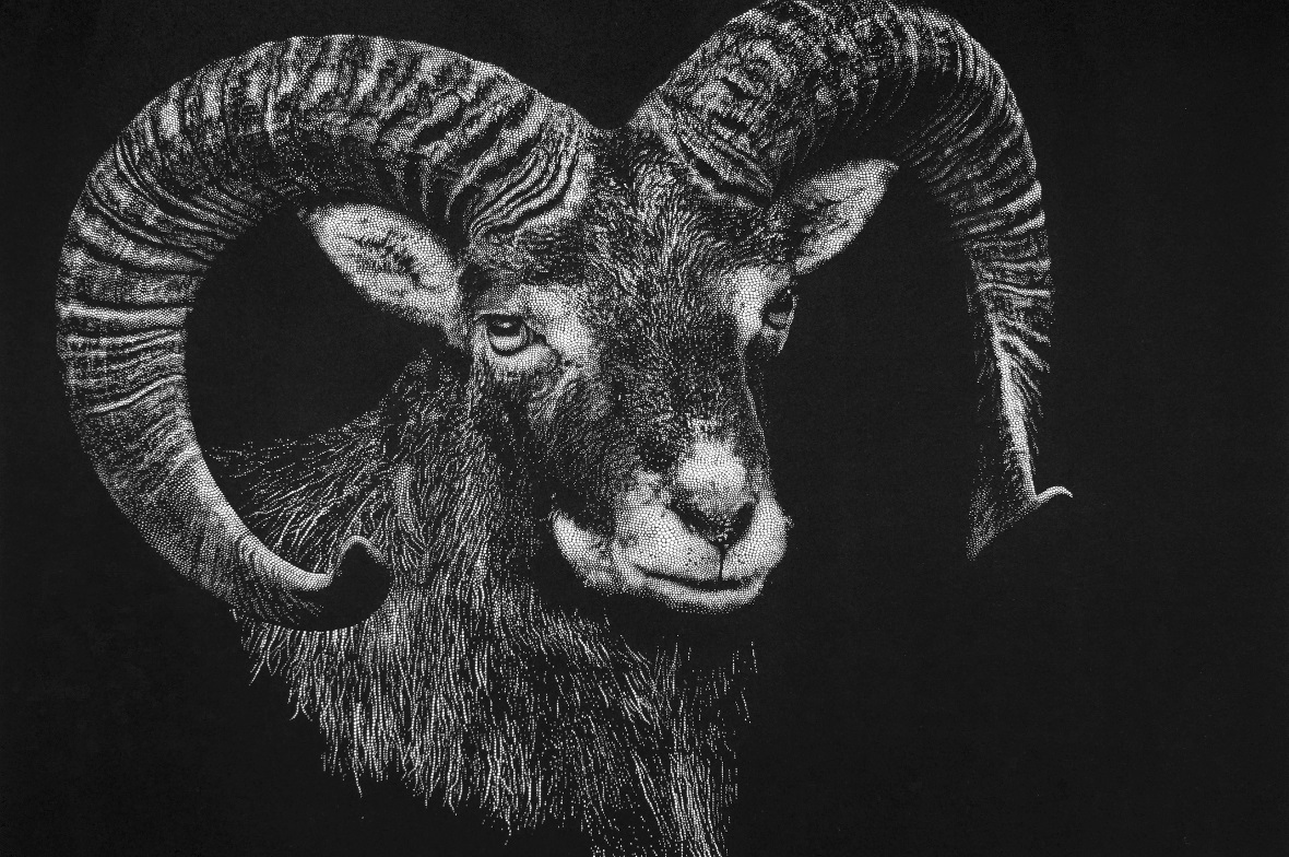 Der Widder, geschnitten von Marc Schweizer, wirkt dreidimensional und muss erleb...