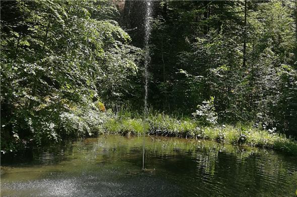 Der attraktive Springbrunnen.