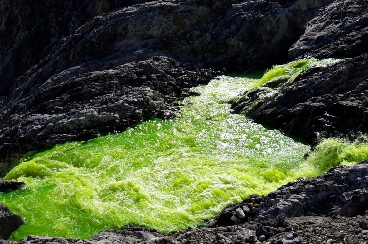 Der eingefärbte Trübbach unter dem Fall bei der Schweinsbalme.