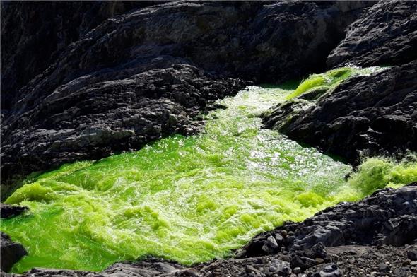 Der eingefärbte Trübbach unter dem Fall bei der Schweinsbalme.