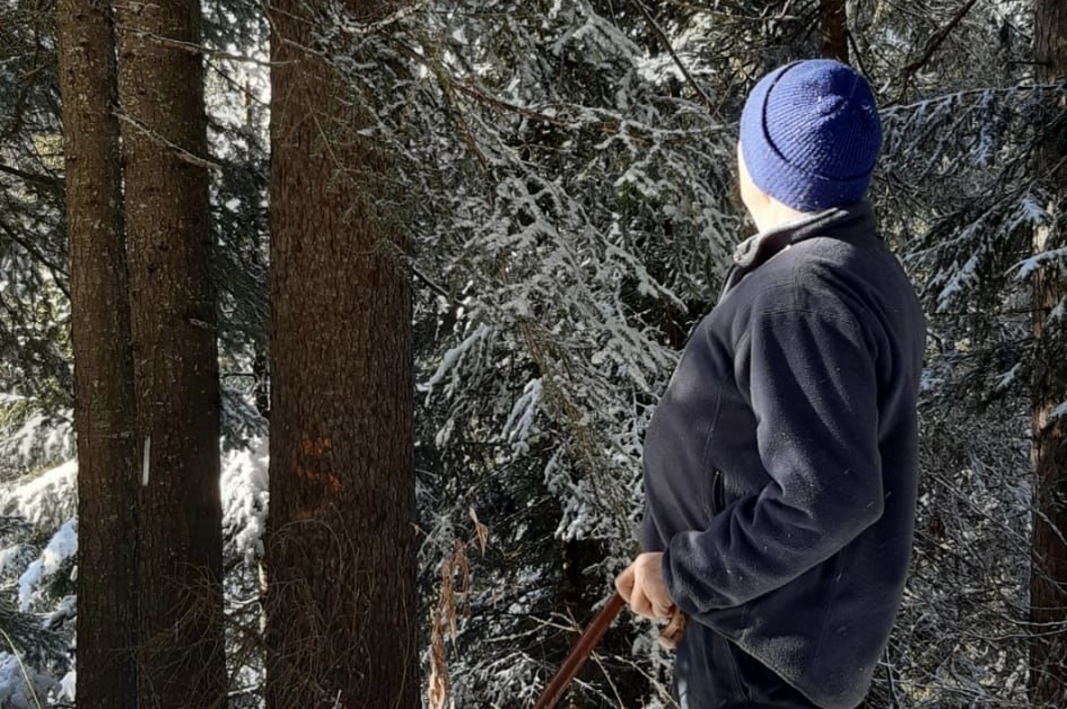 Der erste Schritt Begutachtung im Wald.