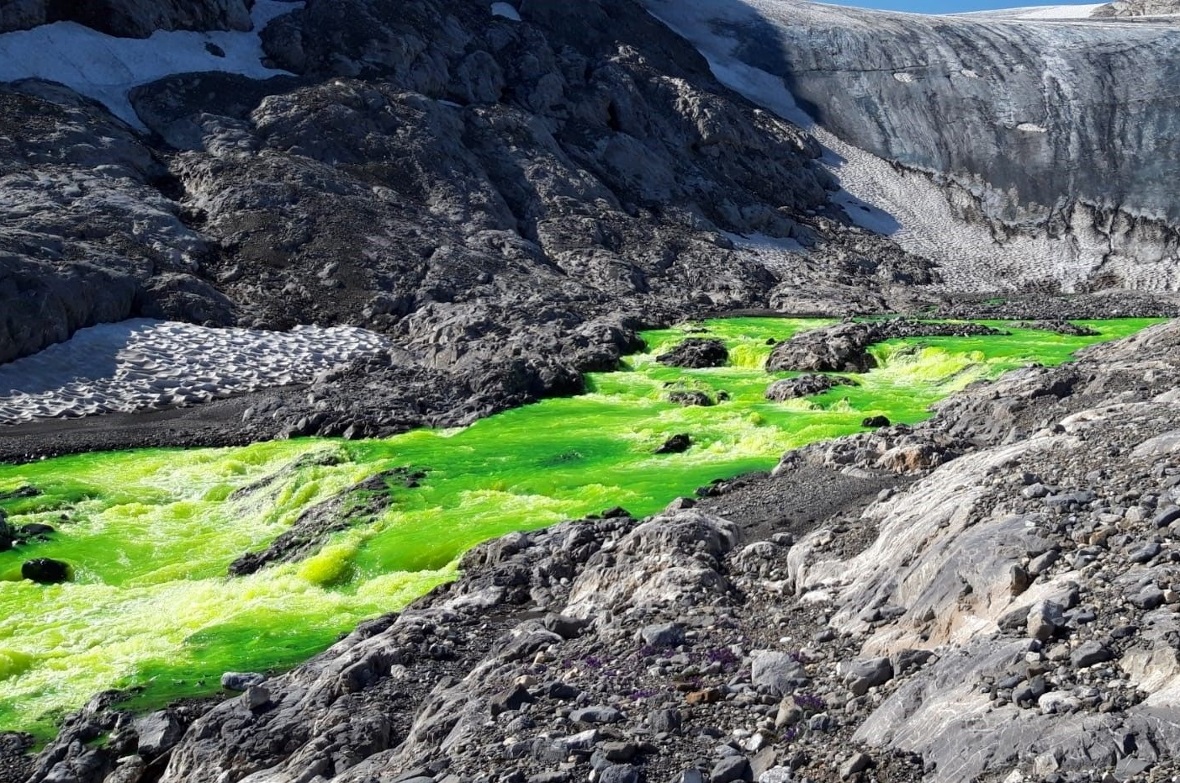 Der grün eingefärbte Trübbach beim Gletschertor.