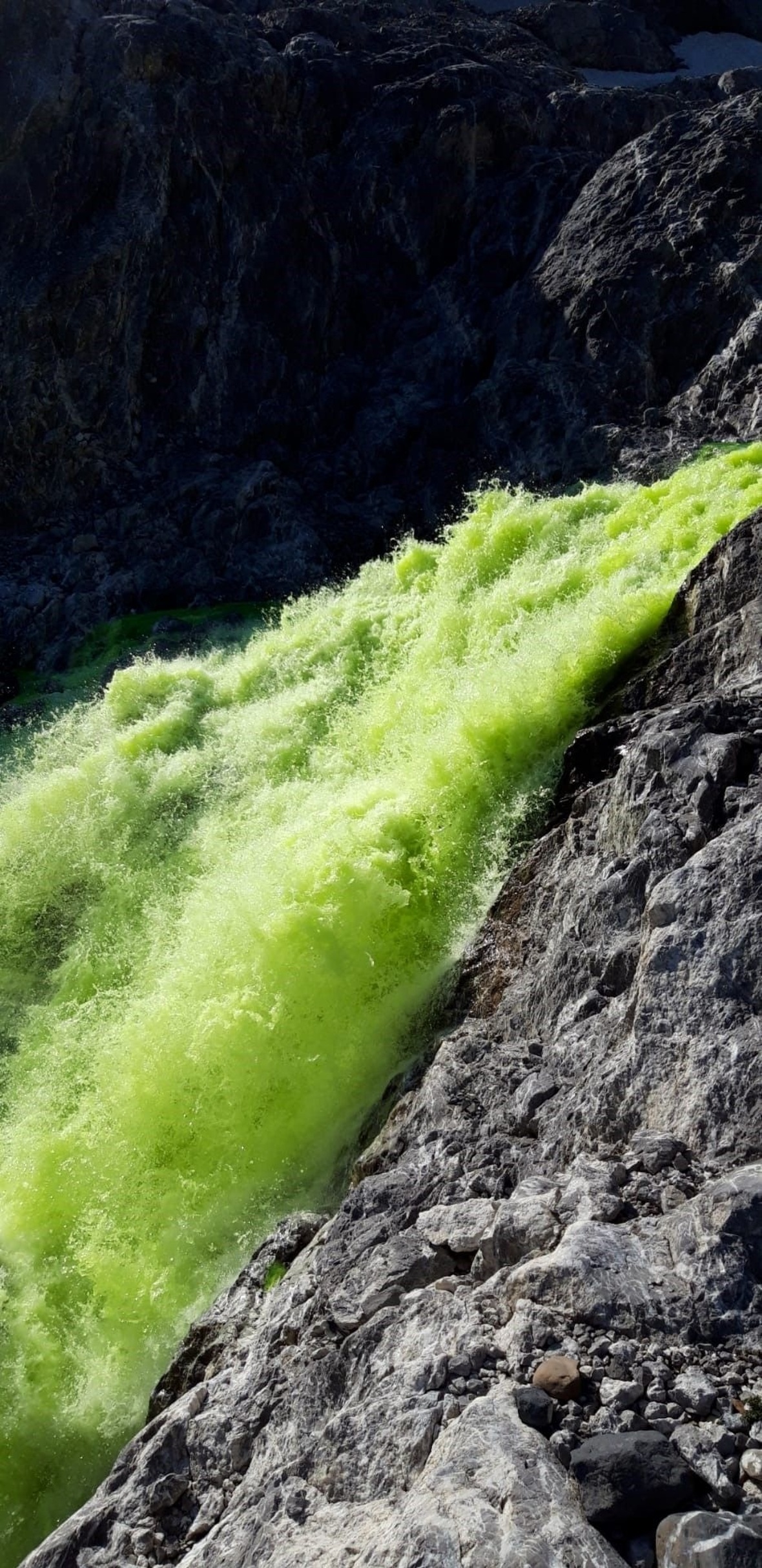 Der grüneTrübbach-Fall bei der Schweinsbalme.
