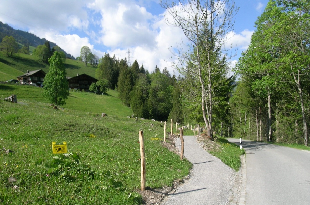 Der neue Fussweg in Richtung Jaun.