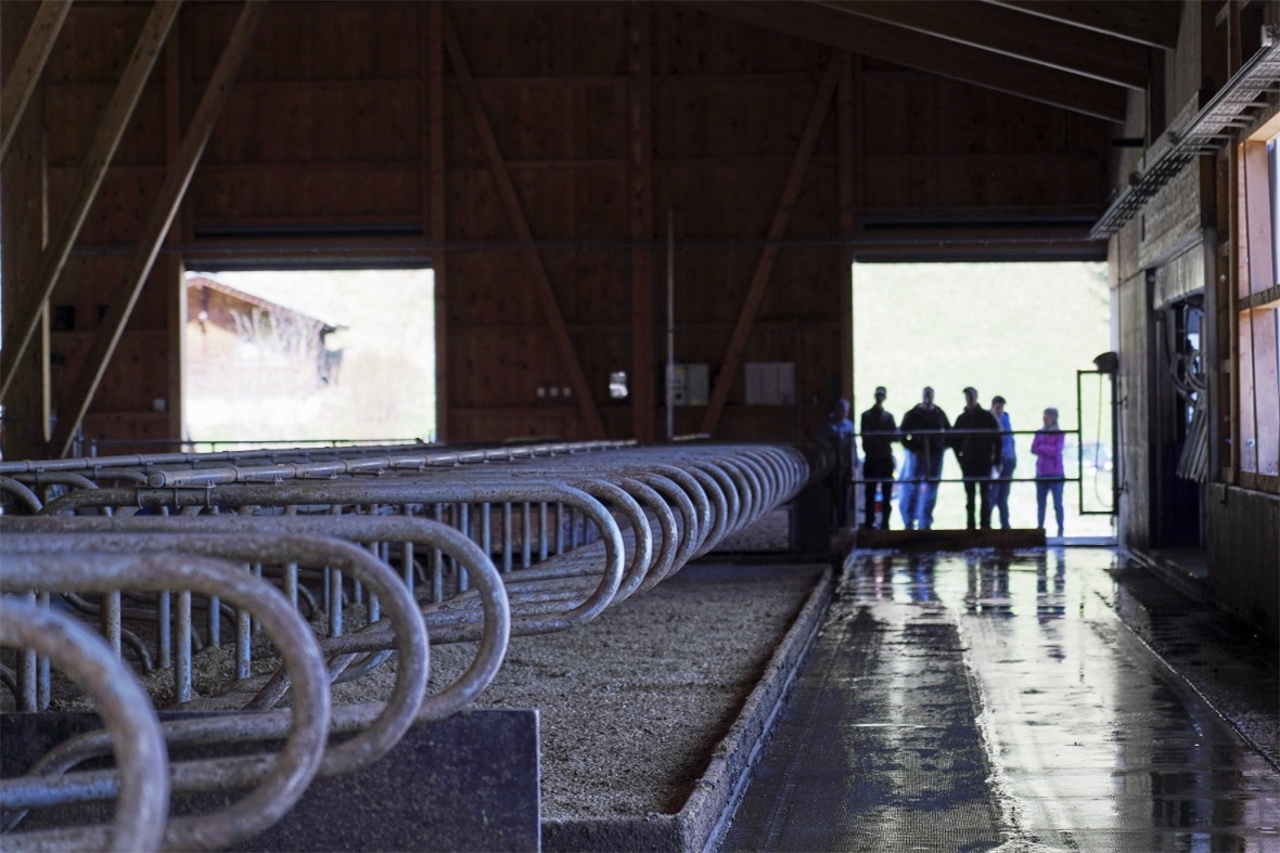 Der neue Stall bei den Walkers weckte das Interesse von Fachleuten und Laien.