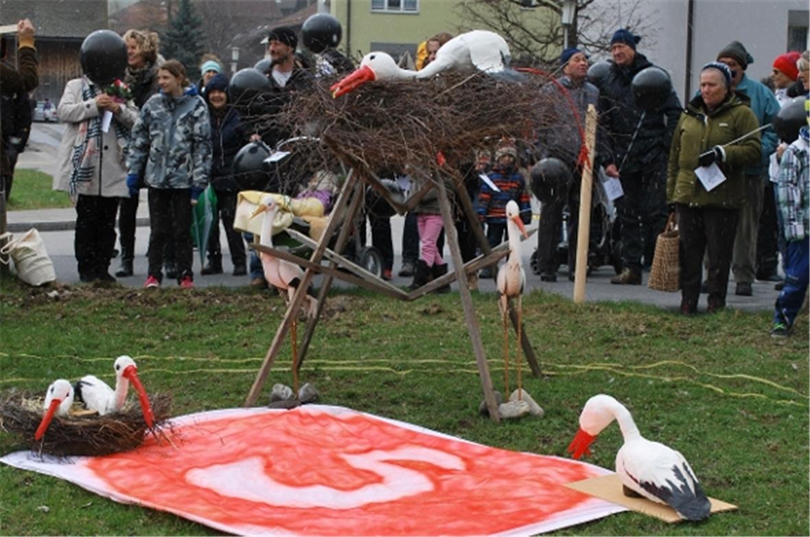 Der schweizweit erste Storchen-Zwischenlandeplatz in Zweisimmen wurde eingeweiht...