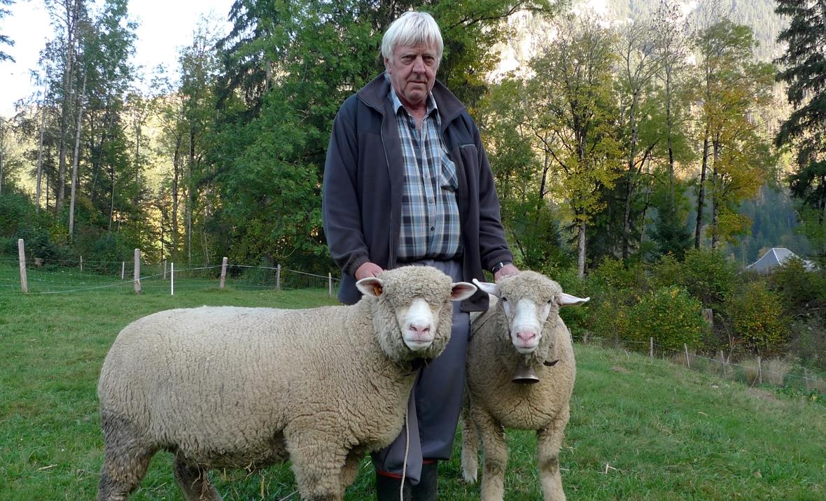 Der stolze Züchter mit Miss OSI Sania (links) und Junior-Miss Luana (rechts). Ausgeglichenes Wollkleid, saubere Rückenlinie, schön gedeckter Kopf und ein kräftiges Fundament – die neuen Missen erfüllen alle Anforderungen an ein Weisses Alpenschaf.