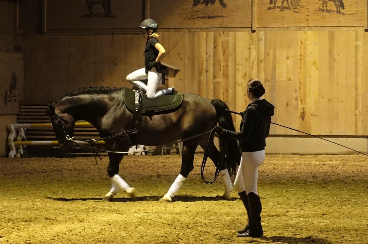 Die 12-jährige Lia Schmid zeigte, geführt von Sonja Schwarz, auf dem elfjährigen...