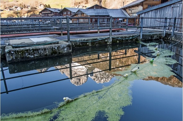 Die 1978 erbaute Abwasserreinigungsanlage in Boltigen ist veraltet und muss bis 2019 erneuert werden.