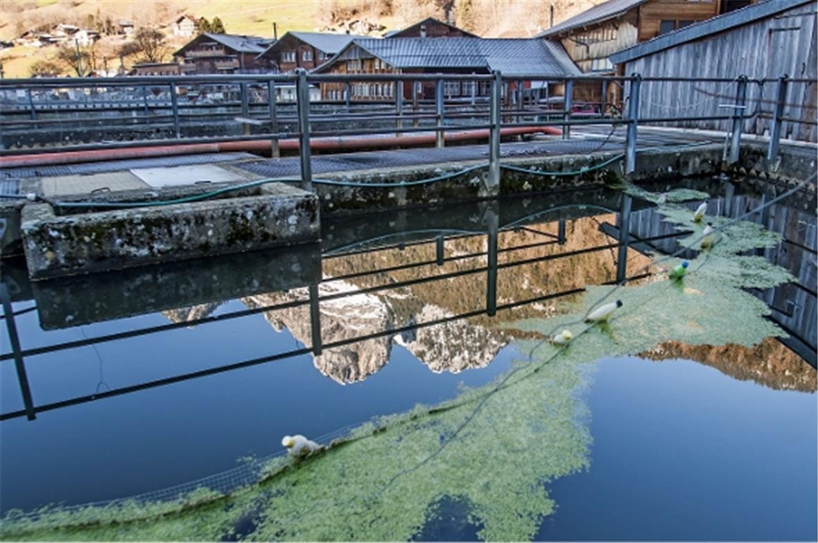 Die 1978 erbaute Abwasserreinigungsanlage in Boltigen ist veraltet und muss bis ...