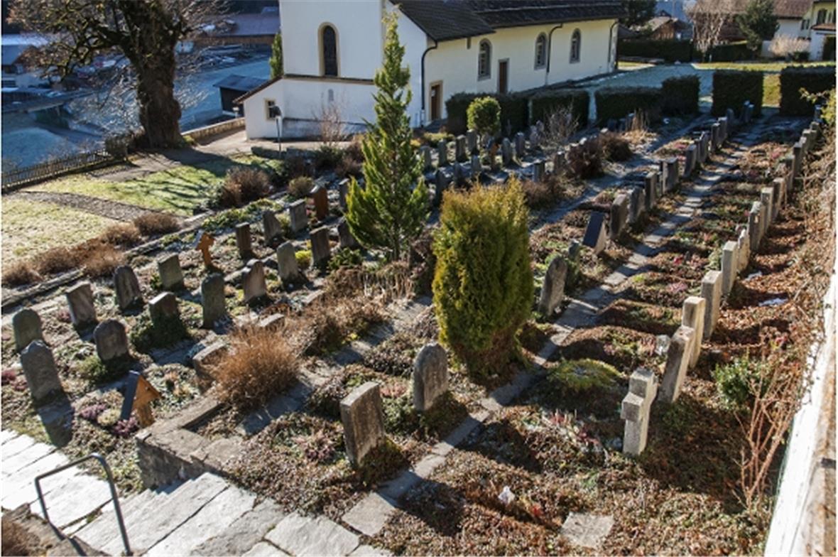 Die 25jährige Ruhezeit der im Grabfeld E Begrabenen läuft 2016 ab. Das Grabfeld muss geräumt und die Bodenbeschaffenheit verbessert werden.