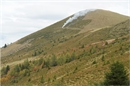 Die Arbeit des Bergwaldprojekts unterhalb des Flöschhorns ist gut sichtbar.