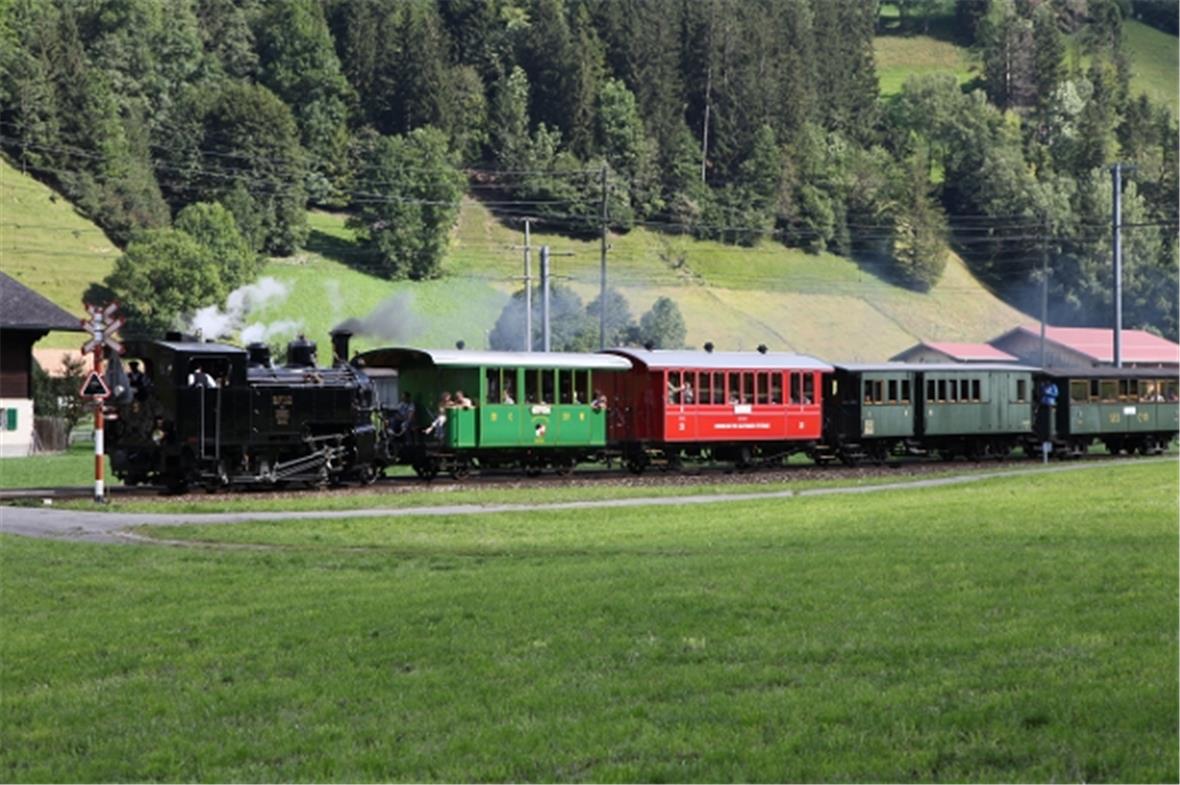 Die Dampfbahn in voller Fahrt