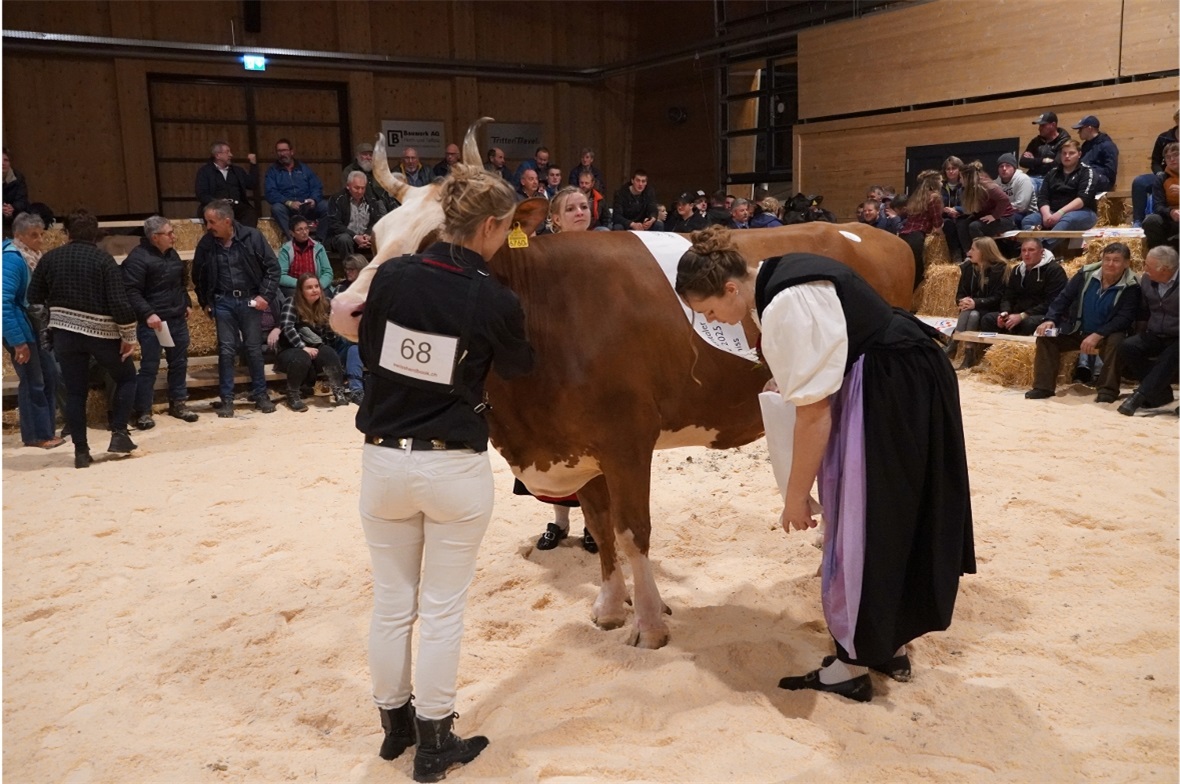 Die Ehrendamen legten der schönsten Simmentalerin das Band um.