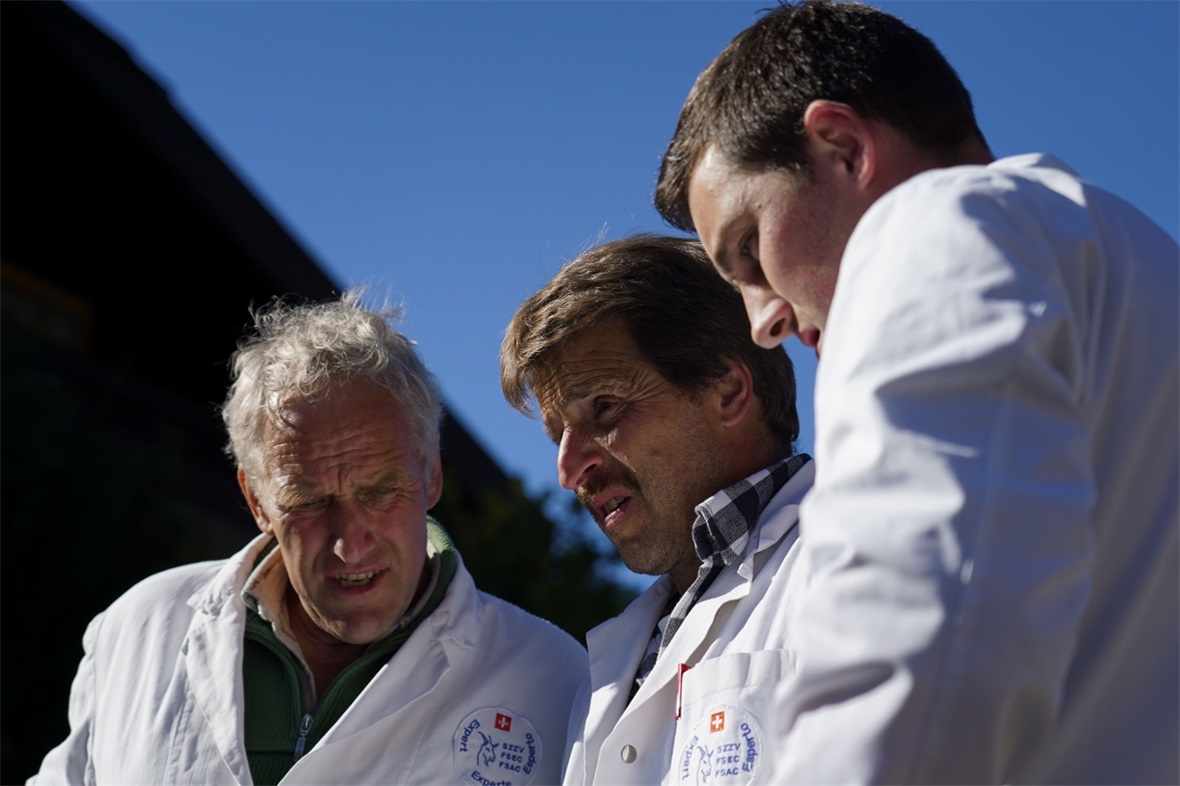 Die Experten hatten bei dem hohen Niveau keine leichte Aufgabe.