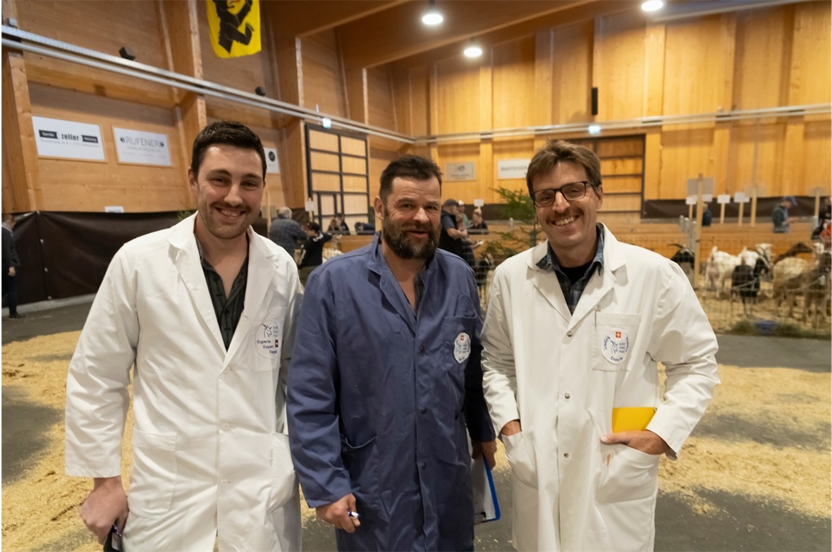 Die Experten mit Tony Kneubühl, Robert Hess und Ferdinand Bergmann (v.l.), fande...