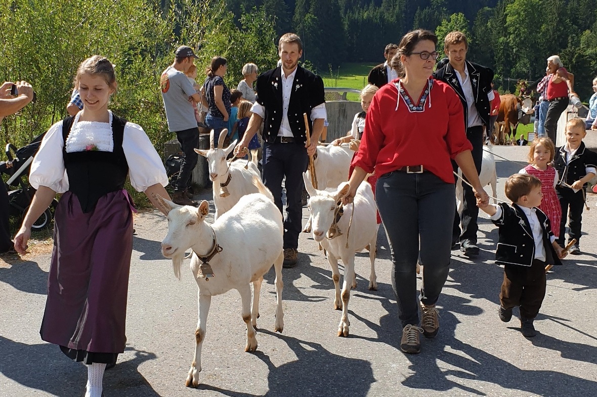 Die Familien von der Alp Flösch hatten auch Geissen dabei.