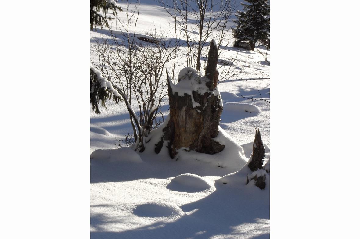 Die Gäste wünschen sich eine solche unberührte Naturlandschaft im Diemtigtal.