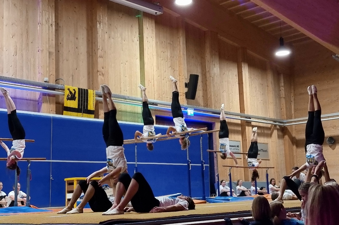 Die Geräteturner beeindruckten das Publikum.