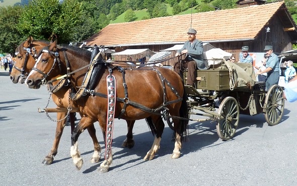Die «Gulaschkanone» wird eingefahren.
