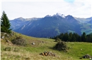 Die Haufen von geräumter Vegetation liessen sich sehen.