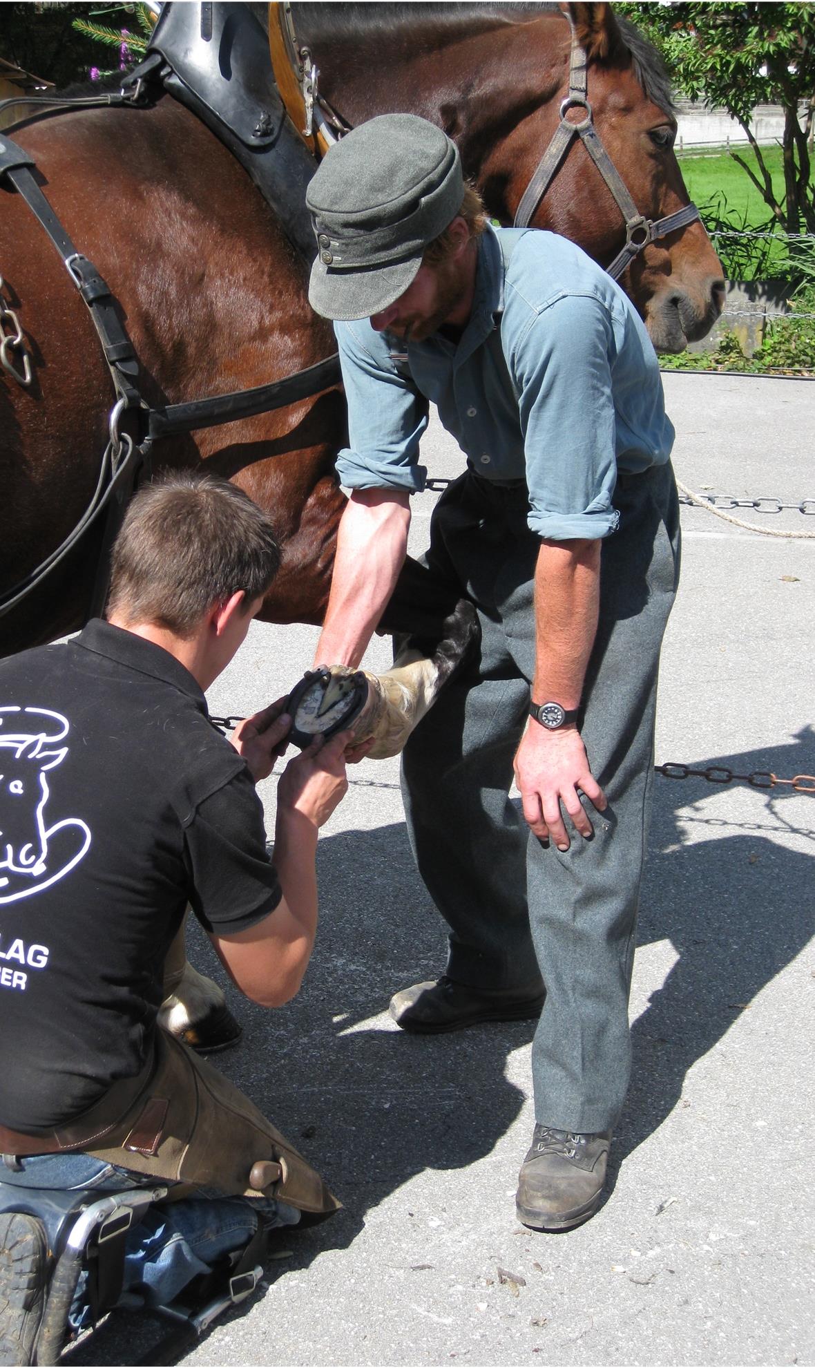Die Jungjodler Wyssi Burg aus dem Niedersimmental.