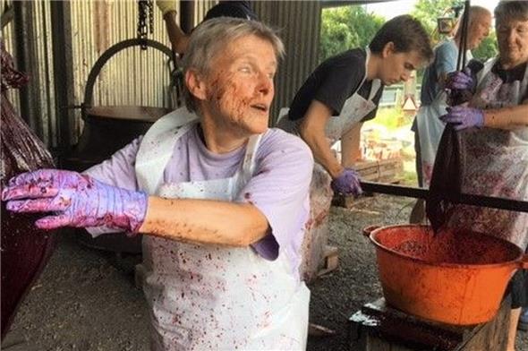 Die Kirschen werden ausgepresst. Dafür sollte man die Sonntagskleidung zu Hause lassen.