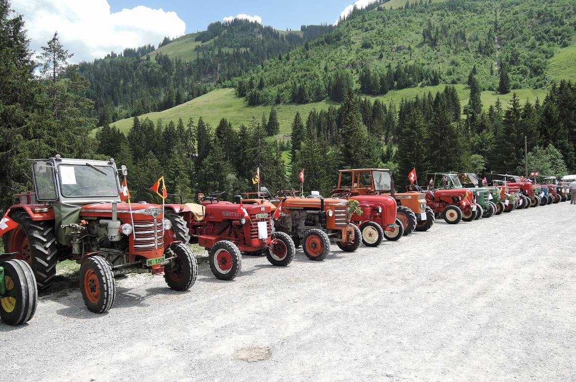 Die Landmaschinen-Oldtimer in Reih und Glied.