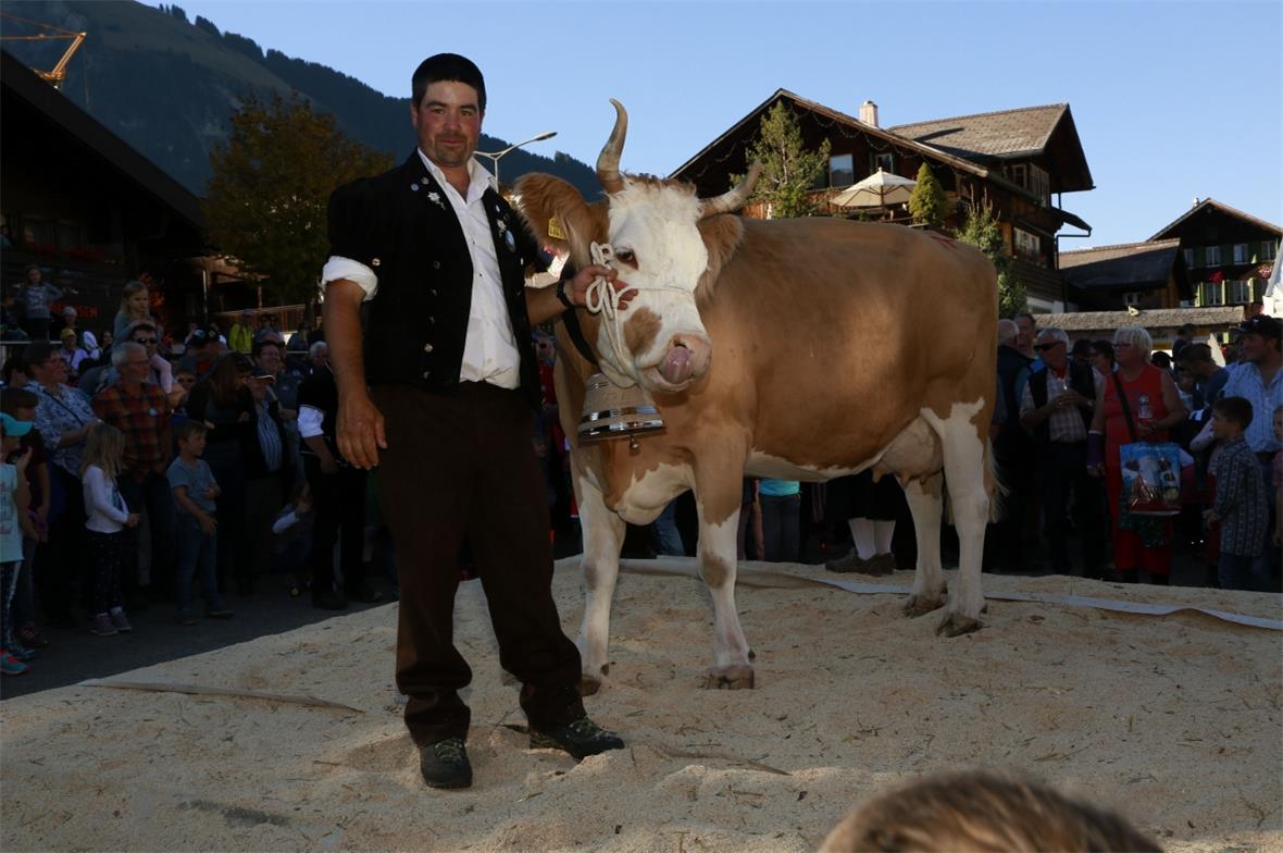 Die Lenk im Simmental hat eine neue Miss, eine Vierbeinige! Sie heisst Kastanie,...