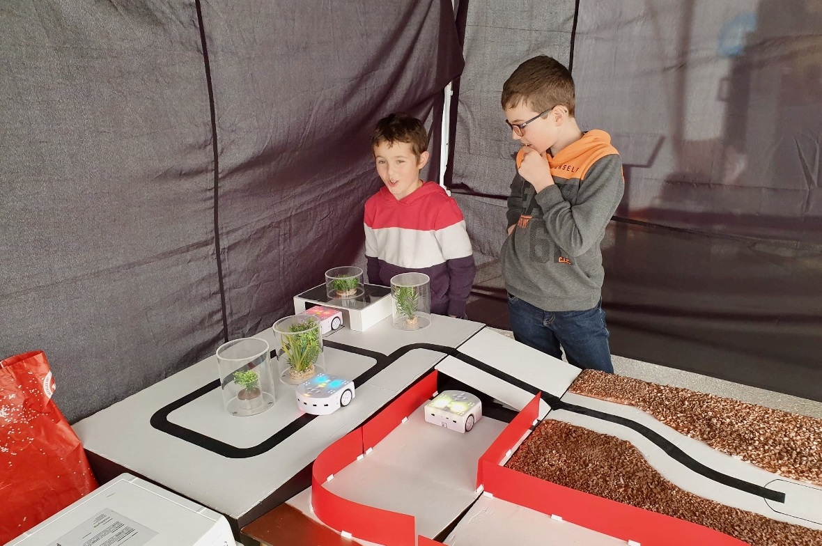 Die Mars-Roboter werden untersucht.