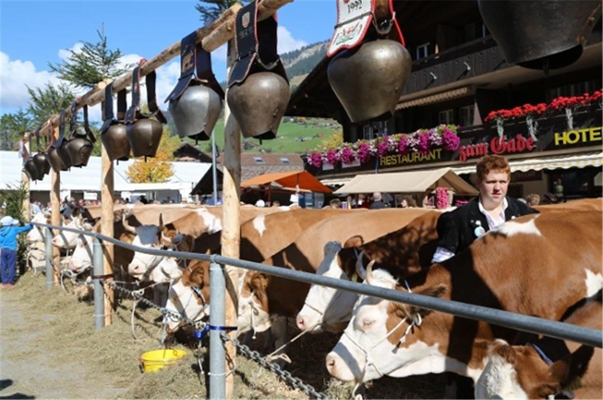 Die Missanwärterinnen