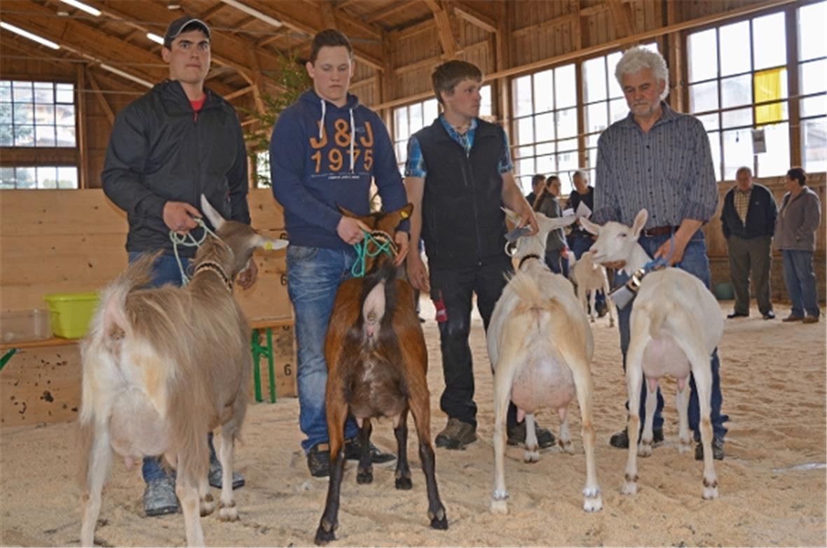 Die Missen aller Rassen und ihre Besitzer (v.l.n.r.): Miss übrige Rassen (Toggenburger), Swissdream Lorenz Nelke von Rinaldo Cresta; Miss Oberhasli-Brienzer, Vaudvaise von Jakob Gerber, Süderen; Miss Saanen: Elke von Daniel Janzi; Junioren Miss Saanen, Star von Ueli Perren.
