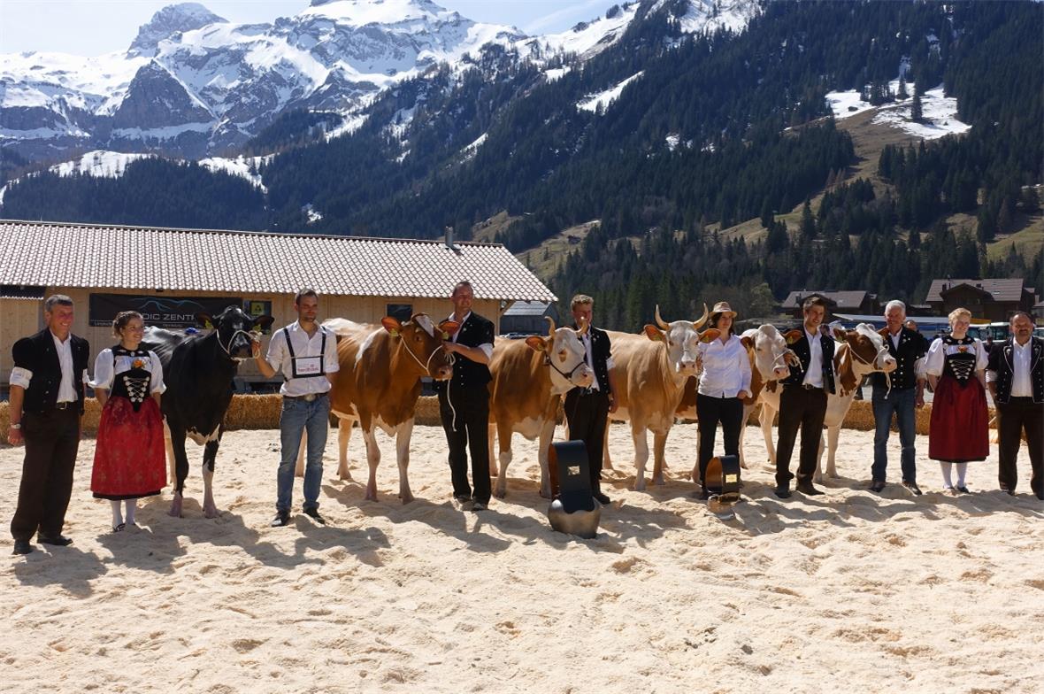 Die Missen bei den Jungkühen auf einen Blick: Umrahmt von den beiden Juroren Hel...