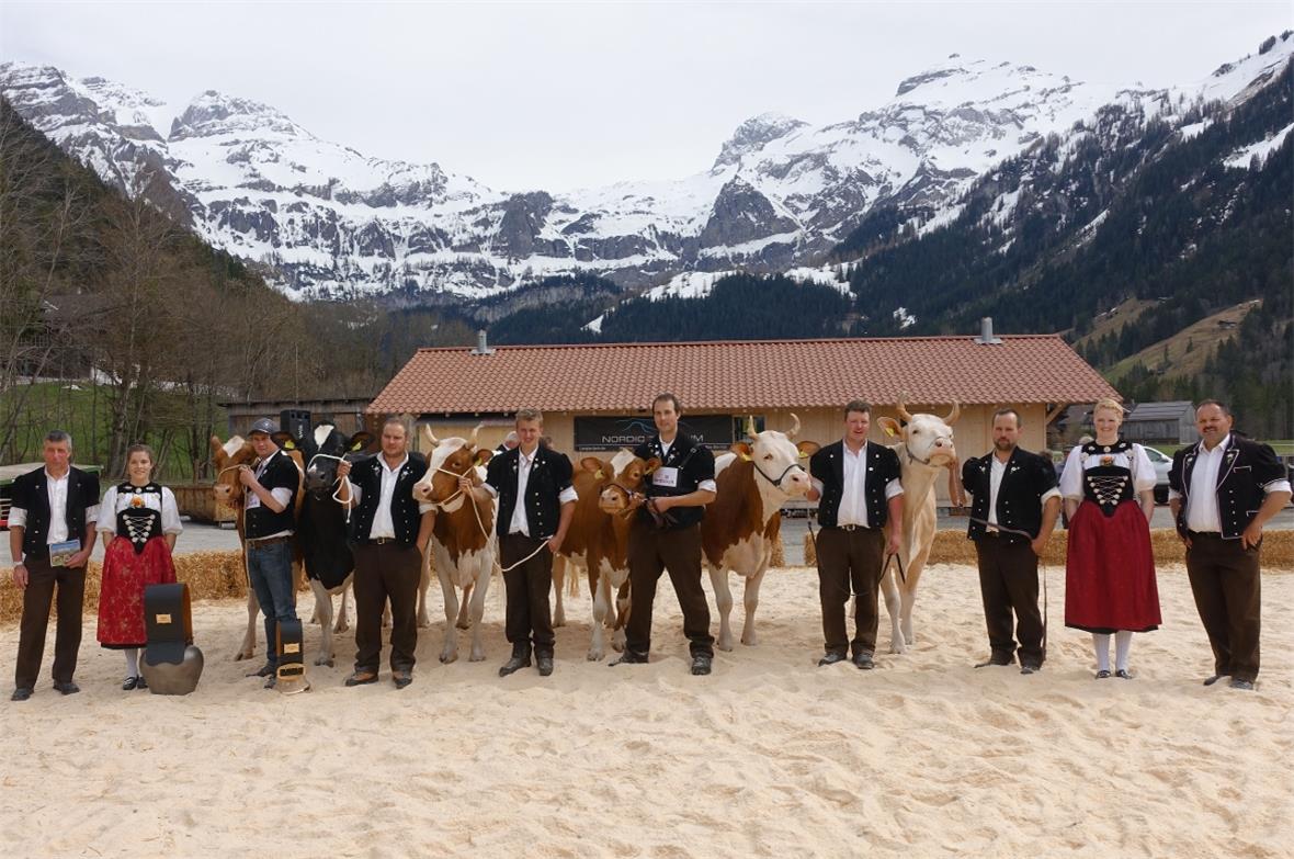 Die Missen bei den älteren Kühen auf einen Blick: Umrahmt von den beiden Juroren...