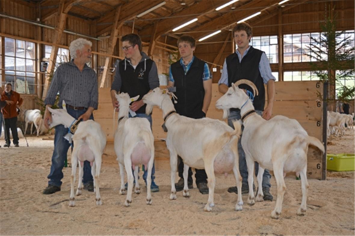 Die Missen der Rasse Saanen und ihre Besitzer: Junioren Miss, Star von Ueli Perren; Junioren Miss Schöneuter, Lilifée von Thomas Kobel; Miss, Elke von Daniel Janzi; Miss Schöneuter, Sina von Daniel Eschler.