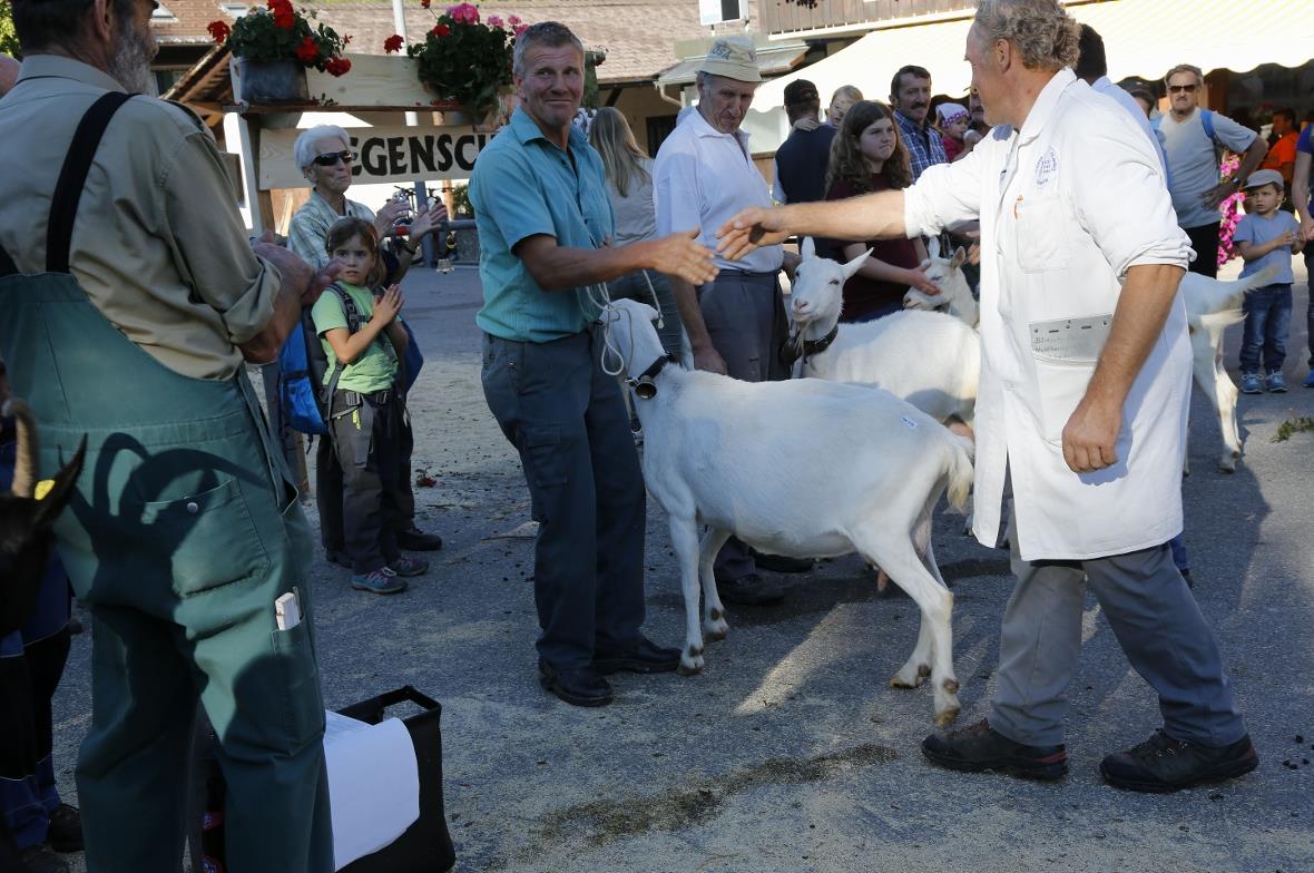 Die Misswahl per Handschlag besiegelt.
