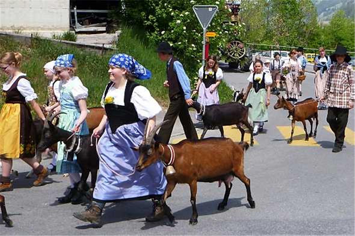 Die Obersimmentaler Jungjodler nehmen noch zu Fuss am Umzug teil...