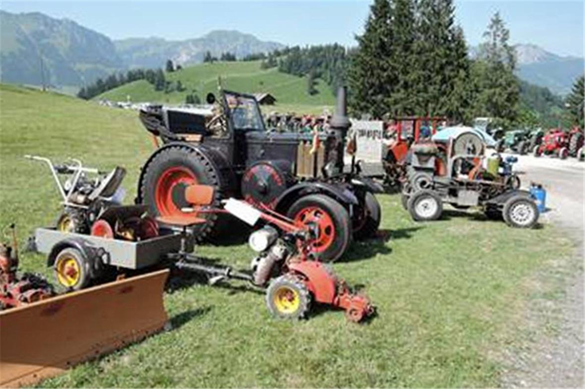 Die Oldtimer in Reih und Glied.