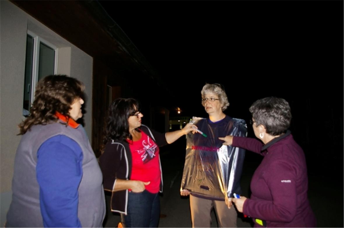 Die Organe unseres Körpers werden auf dem Plastik aufgezeichnet und ihre Funktio...