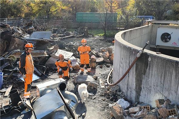 Die Redog-Hundeführerinnen trainierten mit ihren Hunden in den Trümmern der abgebrannten Häuser in Zweisimmen.