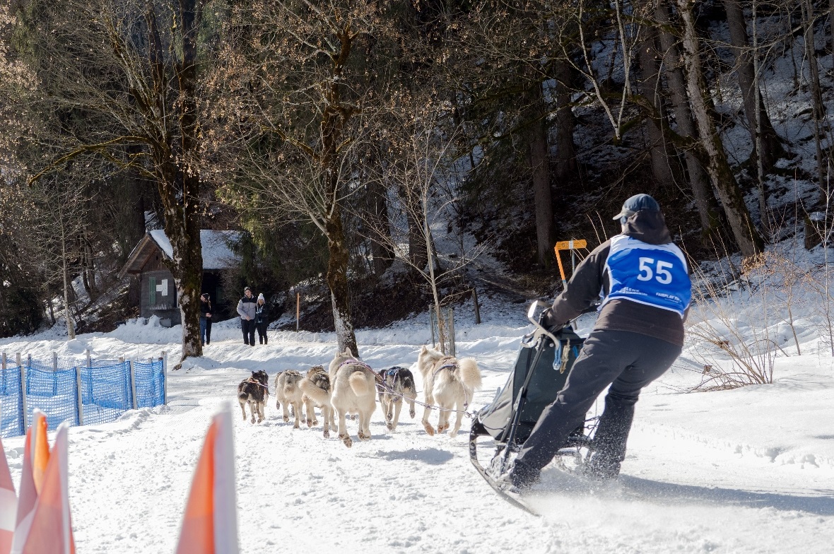 Die S-Kurve beim Lenkersee ist nicht ohne Tücken.