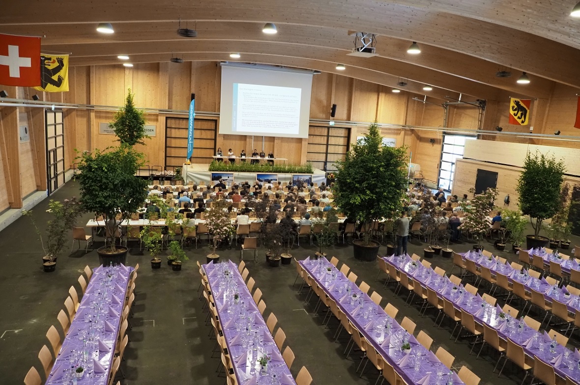 Die Simmental-Arena wurde für die DV mit Pflanzen perfekt geschmückt: Die hohen Bäume trennten die Halle in den Bereich für die Versammlung sowie das anschliessende Mittagessen. Der Vorstand am sonst meist kahlen Tisch erschien durch die Margritli am Bühnenrand wie in der freien Natur aufgestellt.