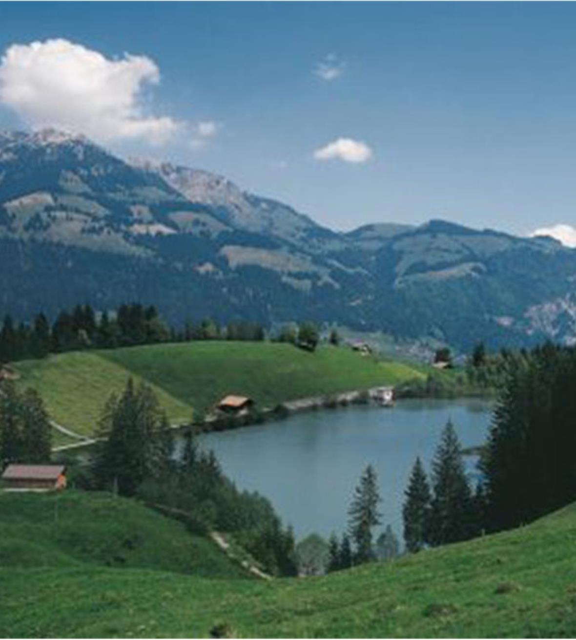 Die Simmentaler Kraftwerke AG mit Sitz in Erlenbach nutzt die öffentlichen Gewässer des Simmentals und des Diemtigtals sowie das Wasser der Stockenseen.