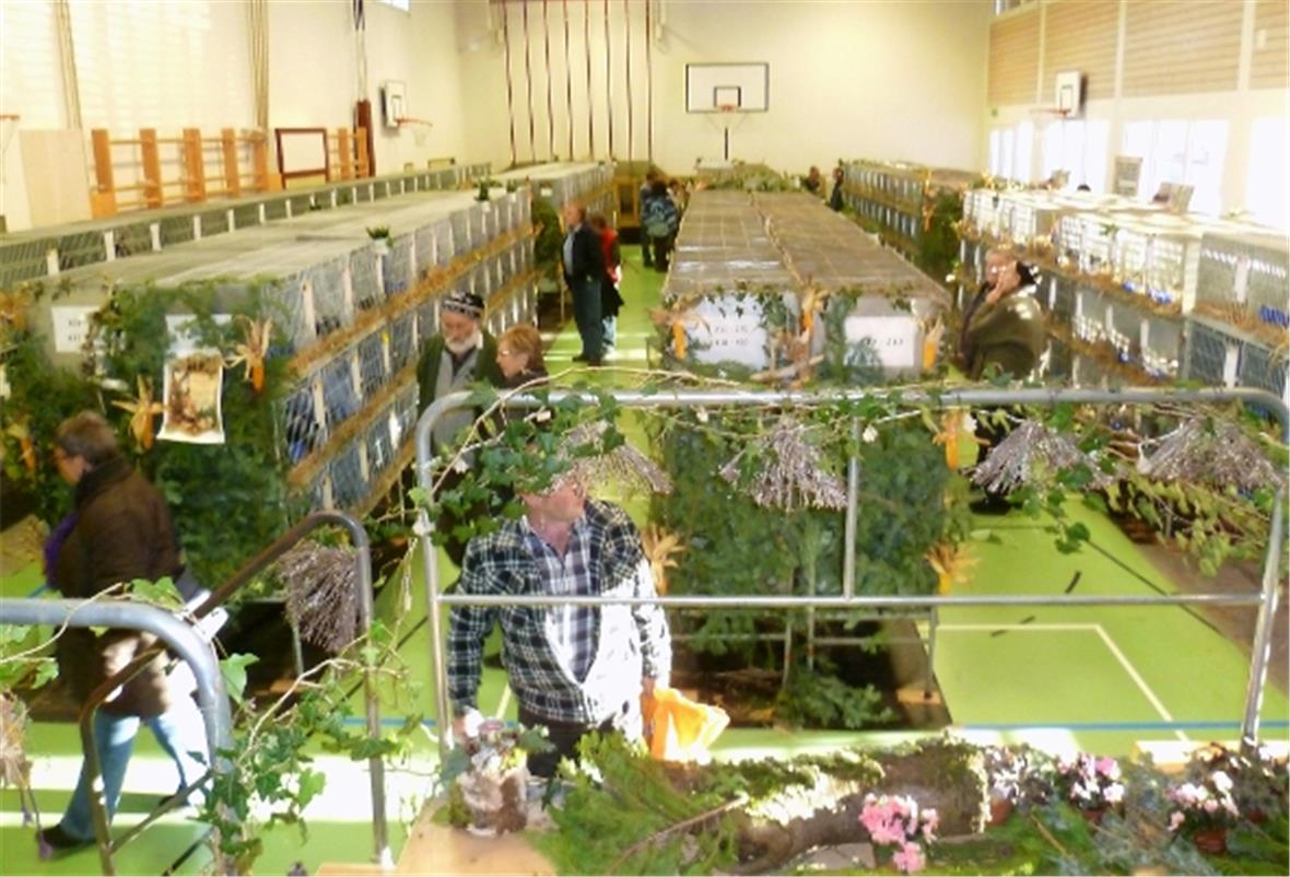 Die Turnhalle als Ausstellungsraum.