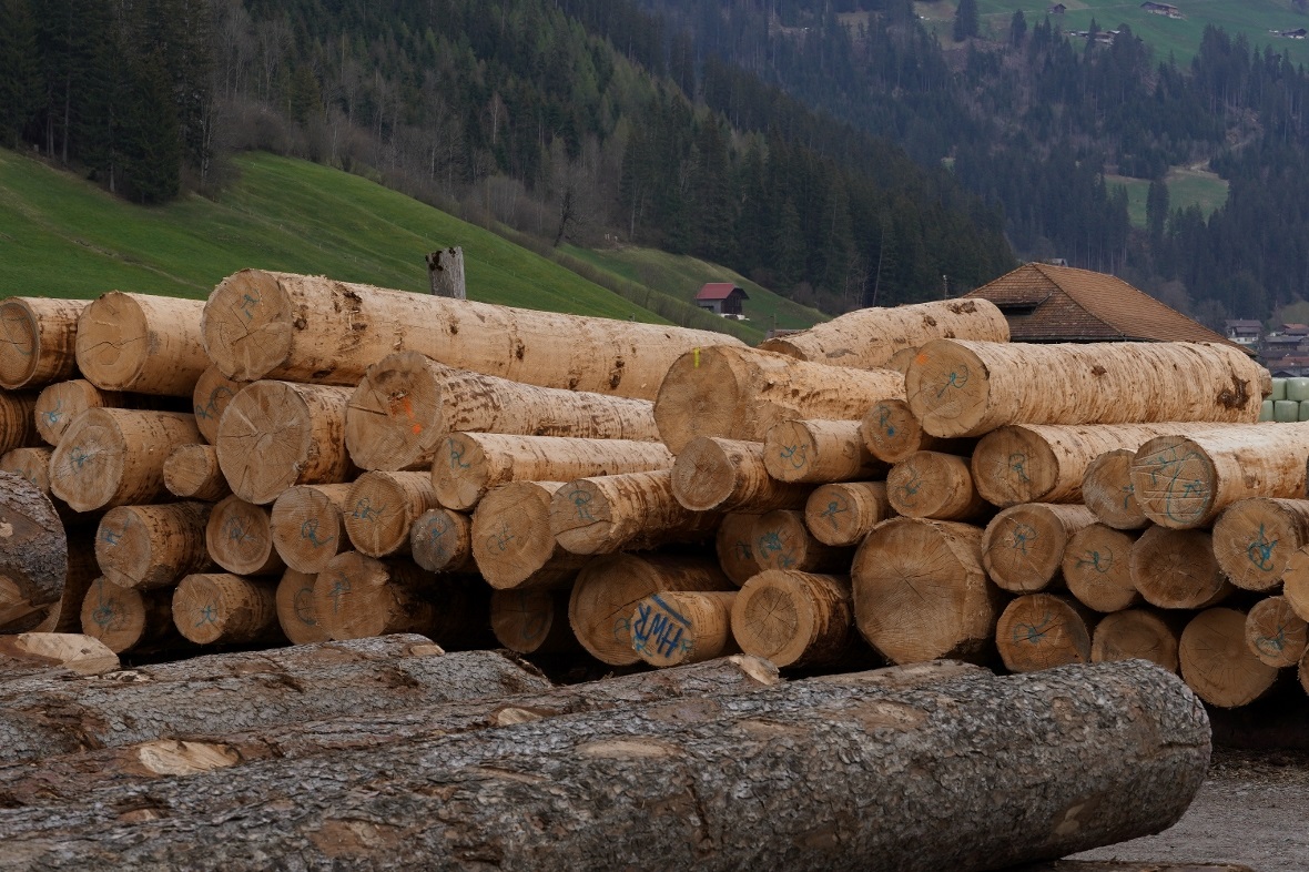 Die Waldbesitzer stehen bereit, um mehr Holz zu schlagen – doch fordern sie, das...